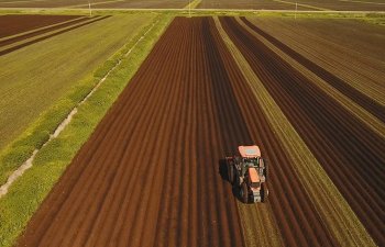 aerial view of crop fields